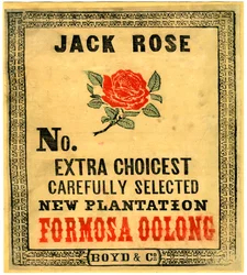 Jack Rose, Nr. Extra sorgfältig ausgewählte neue Plantage Formosa Oolong